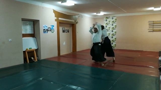 Aikido shiho nage flow training смотреть онлайн
