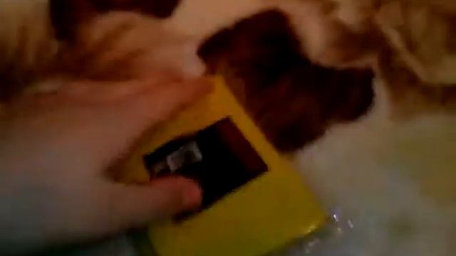 Мои покупки для ЛД #1 | anuta fly