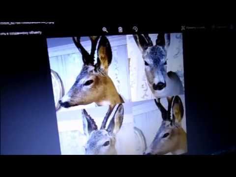 Сказка о Судьбине. смотреть онлайн