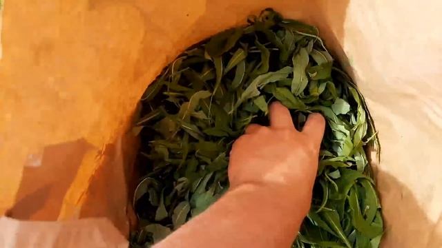 How To Make Healthy Fireweed Tea - Ivan Tea смотреть онлайн