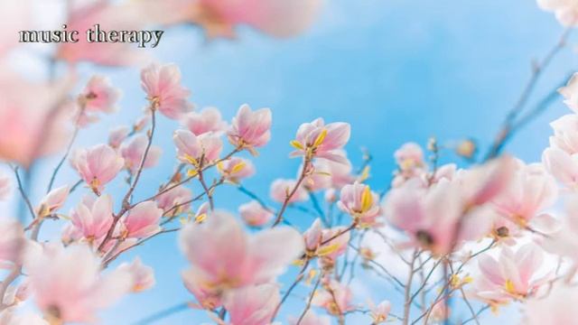 Успокаивающее, исцеляющее, глубокое дыхание, расслабление, бездействие, частота сольфеджио, музыка смотреть онлайн