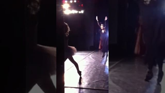 Спящая красавица детский балет смотреть онлайн