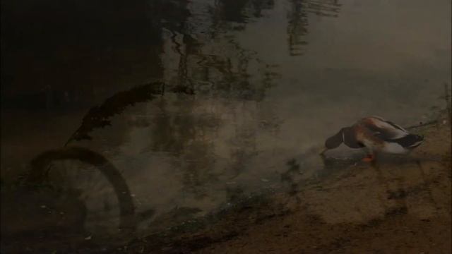 My Photography With The Canon EOS 1100D смотреть онлайн
