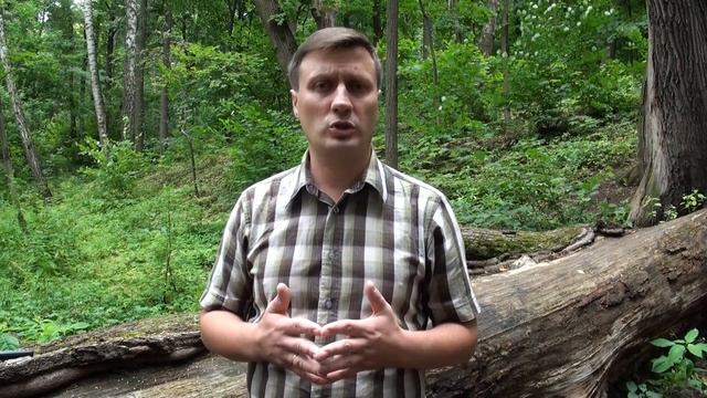 Психология агрессии и конфликта: как постоять за себя словами смотреть онлайн