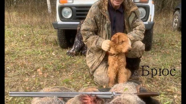 Вельштерьеры Мартынова 2023 смотреть онлайн