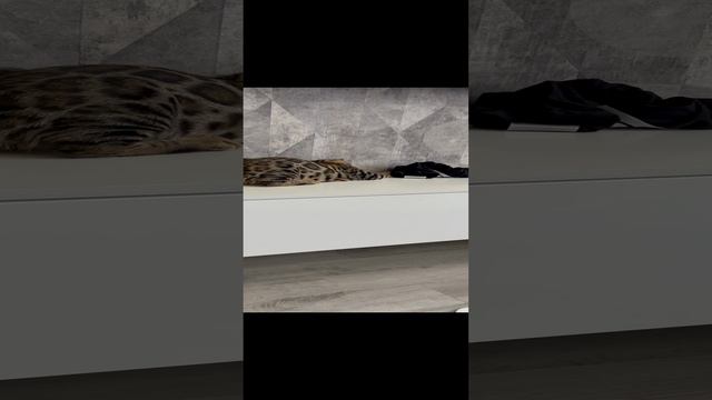 Черные или красные 🤔 смотреть онлайн