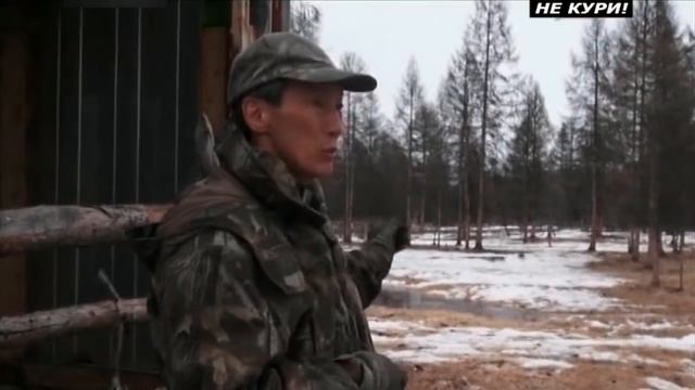 Охота на медведя в Якутии . 2018 смотреть онлайн