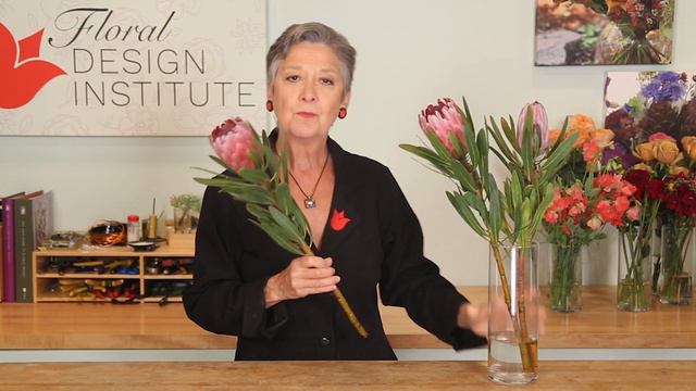 Protea Care смотреть онлайн