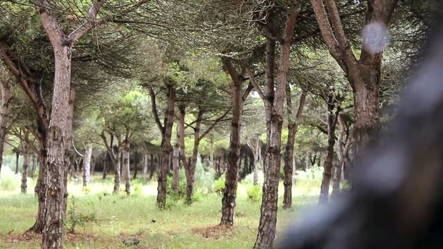 Canon EOS 650D Film Test смотреть онлайн