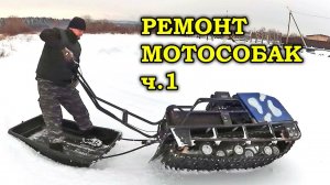 Ремонт мотособак (мотобуксировщик Мужик, Райда) часть 1