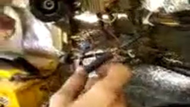 как отличится сигналом смотреть онлайн