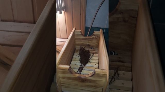 Фитокороб заменили. Продолжение следует.