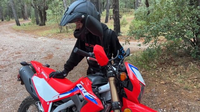 2023 Honda CRF300L Is It Really Better #nelsonrigg #crf300l