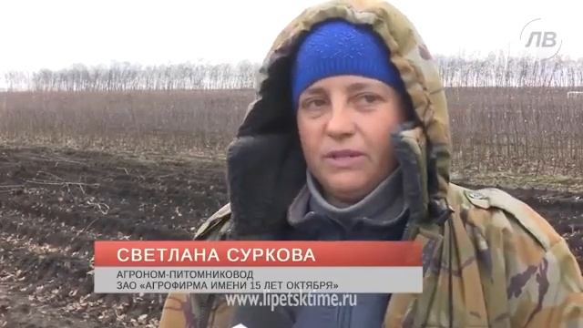 В Липецкой области закладывают сады интенсивн смотреть онлайн