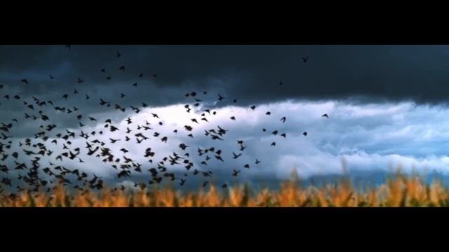 Жизнь Андреича/Интро*Кто Я смотреть онлайн