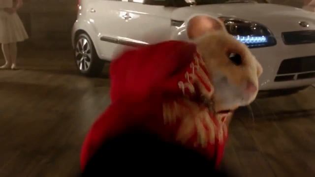 2013 Kia Soul Hamster Commercial Gangnam | Soul | КІА смотреть онлайн