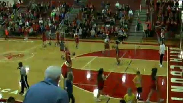 BCHS Cat Bash смотреть онлайн