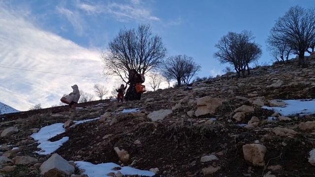 "A dream that arose from displacement: the amazing story of a nomadic woman and a path to victory" смотреть онлайн