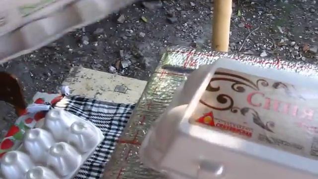 Перевозка инкубационного яйцо летом смотреть онлайн