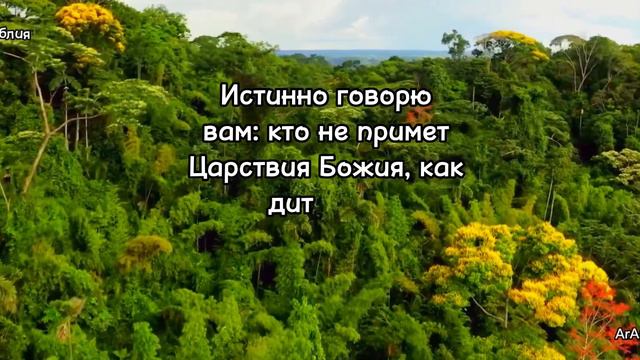 Евангелие от Марка 10:13-16 смотреть онлайн