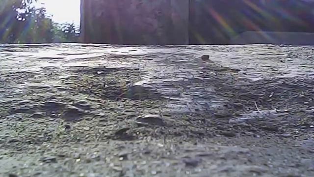 Tes terbang dan hasil kamera drone KF608 смотреть онлайн