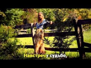 Мохнатый шмель