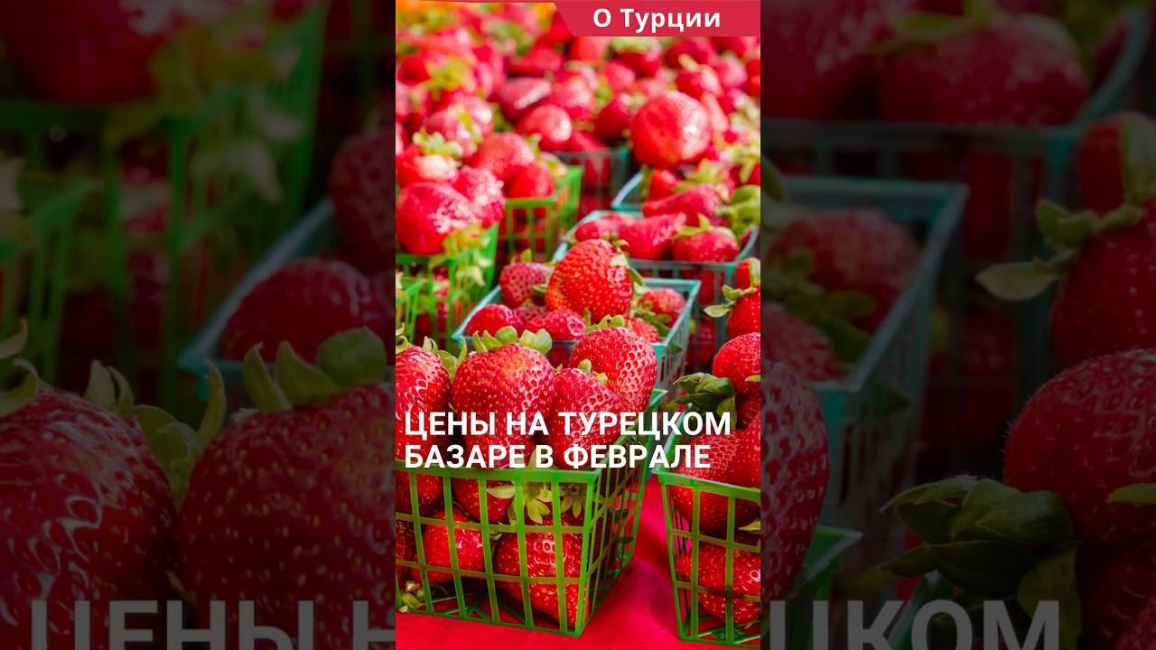 Турецкий базар в феврале. Цены на базаре в Турции. #shorts #ценывтурции #турцияцены смотреть онлайн