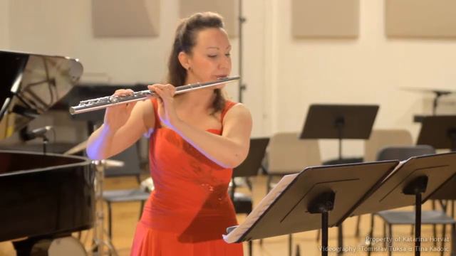 CHRISTOPHER CALIENDO: FLUTE SONATA No. 4 (The Spanish Sonata) Movement 1 смотреть онлайн