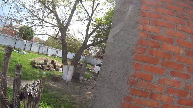 Огородный день)) смотреть онлайн