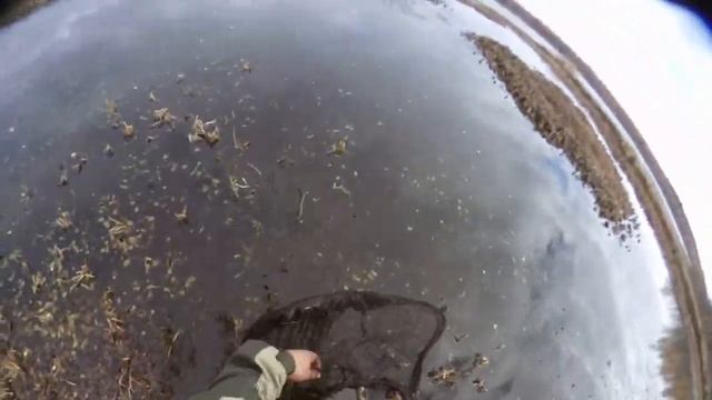 Как поймать живца сачком в большом карьере? смотреть онлайн