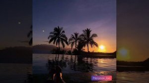 The Limba, Andro - XO