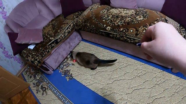 ВЛОГ/ Всего не переделаешь. Дошли до указки. смотреть онлайн