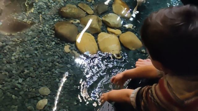 Париж🗼 Мы замёрзли! Муж волнуется! Самый красивый город! Каждый год мы приезжаем посмотреть на это! смотреть онлайн