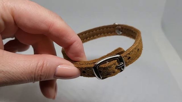 Кожаный ошейник для собак маленьких и мини пород, кошек, повседневный, для прогулки, дрессировки смотреть онлайн