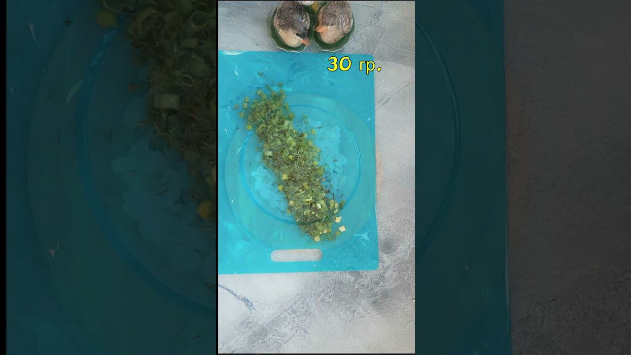 Салат из крабовых палочек с яйцами и зеленью #shorts  #салат #рецепты