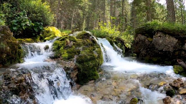 Forest river and birds songs for meditation and relax. Лесная река и птичьи голоса для медитации. смотреть онлайн