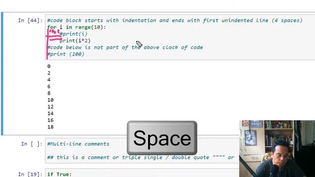 Day 1.4 - Keywords, Identifiers, Indentation, Statements and Commenting in Python смотреть онлайн