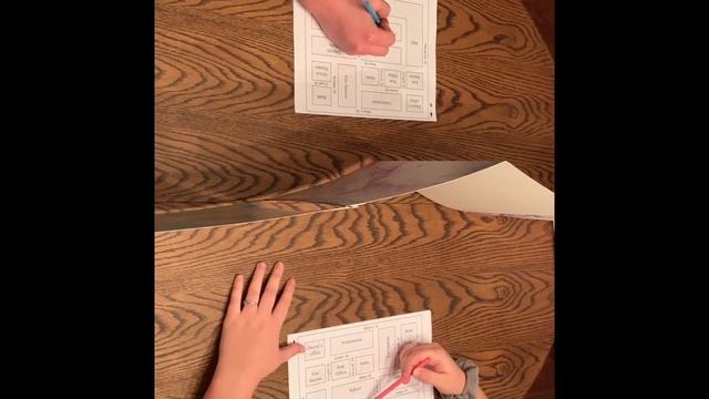 Oral Language and Reading- Barrier Games смотреть онлайн