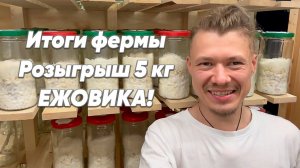 РОЗЫГРЫШ 5КГ ЕЖОВИКА! Ежовик Гребенчатый. Грибная ферма Zverev Mushroom Empire. Итоги производства.