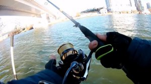 ЗАПРЕЩЁННАЯ РЫБА!!! на реке Дон.