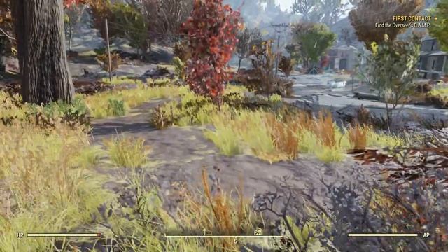 Fallout 76 (GT 750m, 840m,940mx) смотреть онлайн