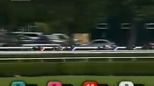 ARRRRR Horse.mp4 смотреть онлайн