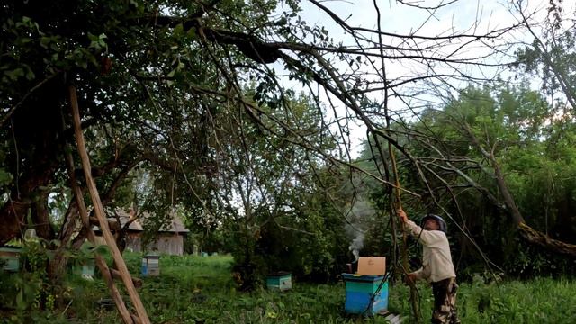 20 июля Собираю рой смотреть онлайн