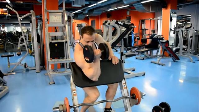 Бицепс на скамье Скотта со штангой, гантелей и в тренажере смотреть онлайн