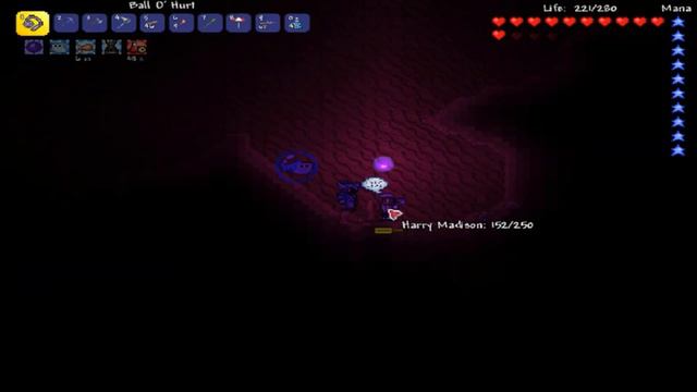 Pickwick Papers, Chapter 18 - Terraria Item ID 49