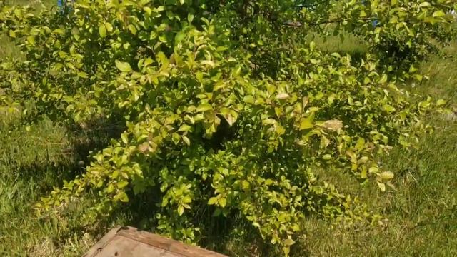 Рои не ловлю, а они идут... Инстинкт смотреть онлайн