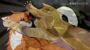 Коты-Воители. Кленовница ,,Дочь зла"