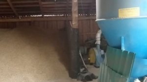 Изобретаем сушилку зерна! Плюсы и минусы самодельной сушилки. #31