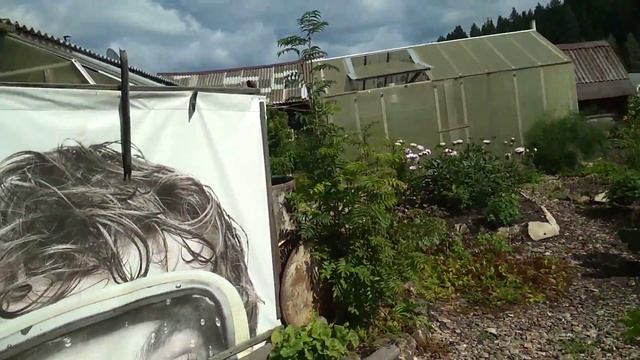 Продажа дома и участка в с.Красносоколье смотреть онлайн