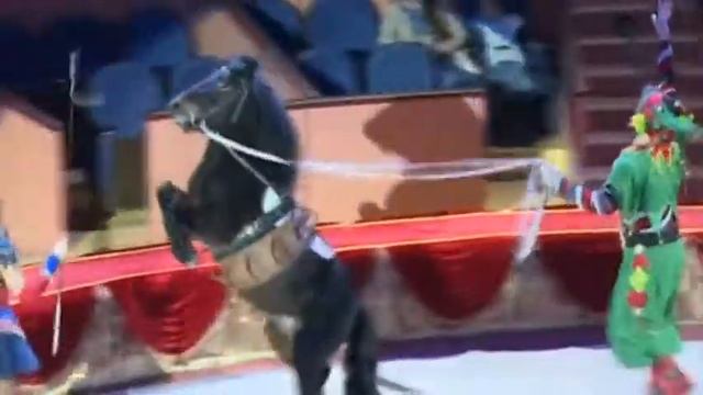 «Цирк встречает Новый год» смотреть онлайн